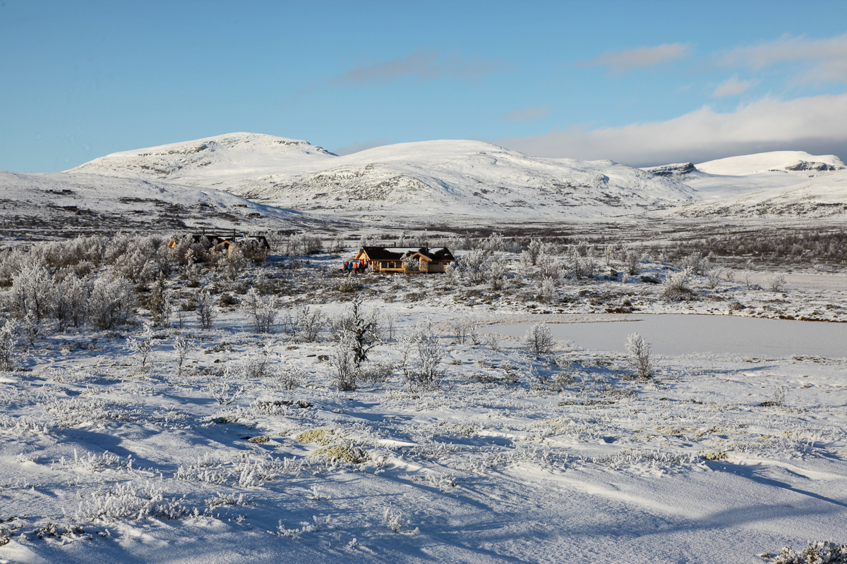 De to nye hyttene som utgjør Veslefjellbua er allerede populære. Foto: Vegard Gundersen / NINA.