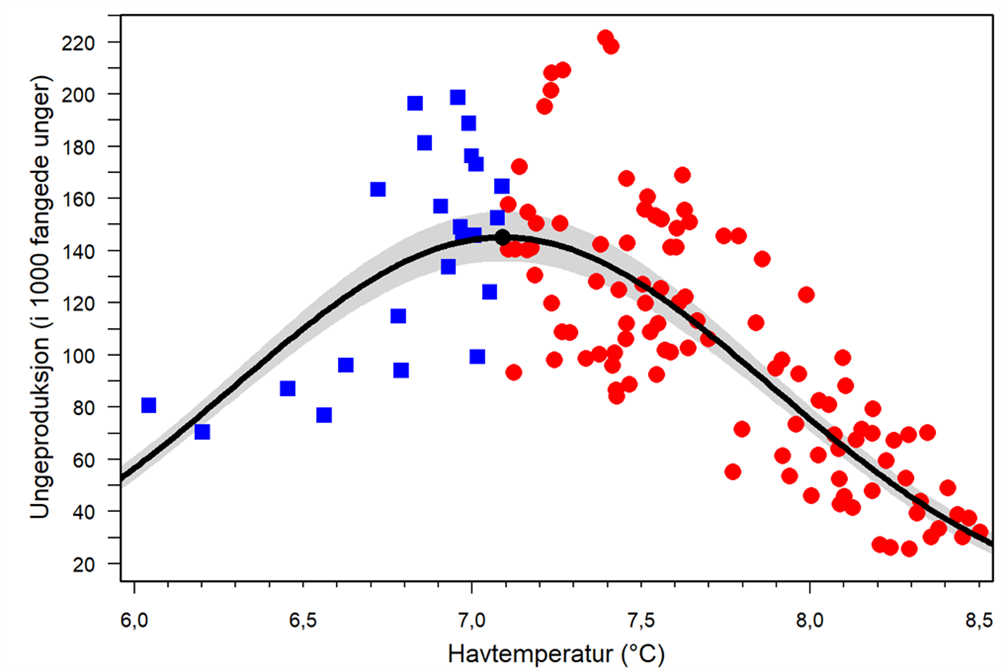 Figur 2: Lunden på Island viste seg å ha et temperaturoptimum ved 7,1 °C. Både lavere og høyere havtemperatur førte til lavere ungeproduksjon.