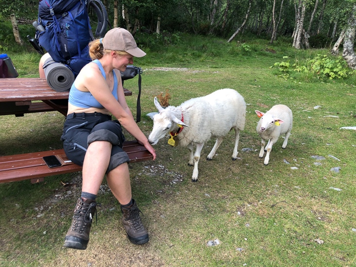 Høydepunkt: Når du har svetta hele dagen og så kommer det ei søye og slikker deg ren. Foto: Kristin Odden Nystuen. 