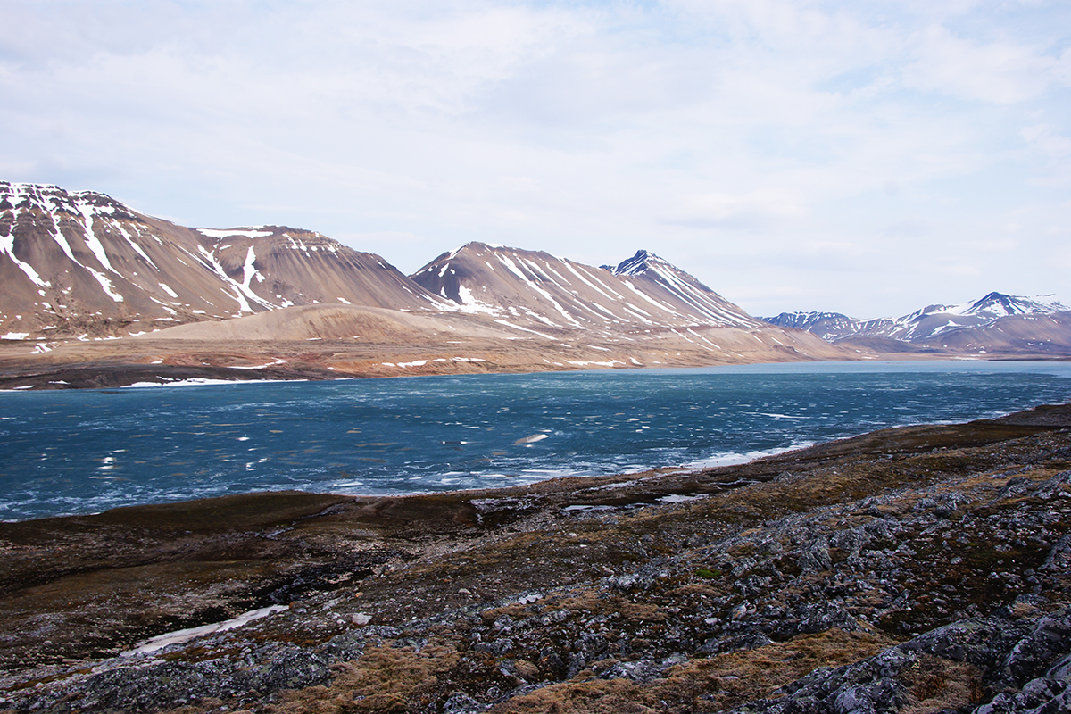 Isen på og rundt Svalbard tiner hurtig og bidrar til at landområdene blir varmere og grønnere. Her fra Linnévatnet. Foto: Jarle W. Bjerke