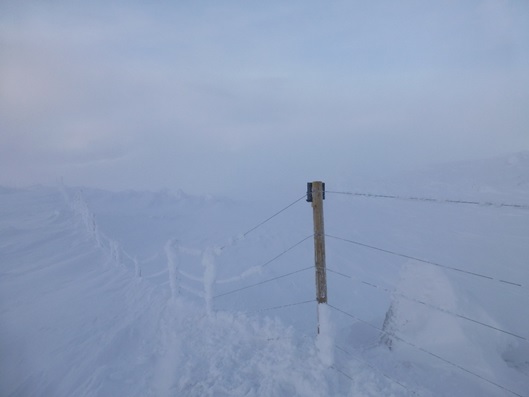 Nedsnødde gjerder er en utfordring vinterstid. Foto: Aron Freyr Gudmundsson