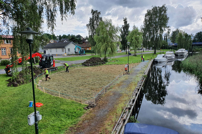 Her erstattes "plenørken" med høy fra kritisk truet slåttemark. Høyet er rikt på frø, og om et år eller to vil det vokse en blomstereng her. Foto: Megan Nowell / NINA.