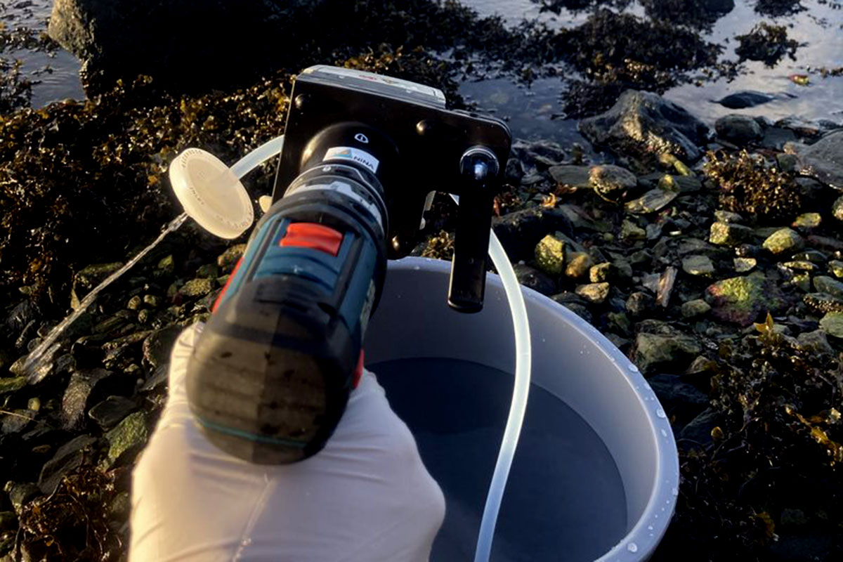 Innsamlingen kan gjøres fra land ved å filtrere flere liter sjøvann gjennom et finmasket filter. Deretter benyttes genetiske verktøy for å lete etter spor av DNA fra havnespy i prøven. Foto: Vegard M. Ambjørndalen / NINA. 