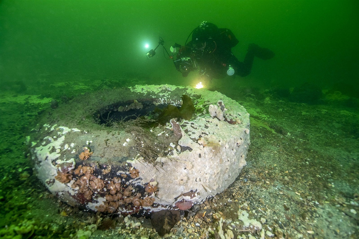 Norske havner kveles i spy. Det er nærliggende å tro at havnespy er mer utbredt enn det som er påvist så langt. En videre kartlegging av utbredelsen er derfor høyst nødvendig for å øke kunnskapen rundt denne arten. Foto: Rudolf Svensen CC BY 4.0 