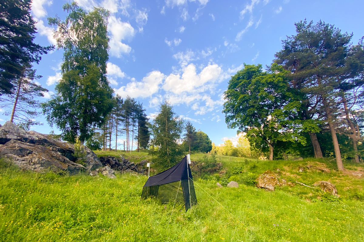 Minst 16 000 arter har gått i fellene til forskerne i overvåkingsprosjektet de siste to årene. DNA-analyse gjør det mulig å registrere så mange arter. Foto: Arnstein Staverløkk, NINA