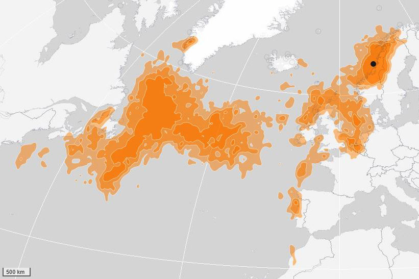 Map from the SEATRACK Web Application showing the winter distribution of black-legged kittiwakes from the Sklinna/ Sør-Gjæslingan colony. The darker the orange shading, the higher the probability of birds being in the area.