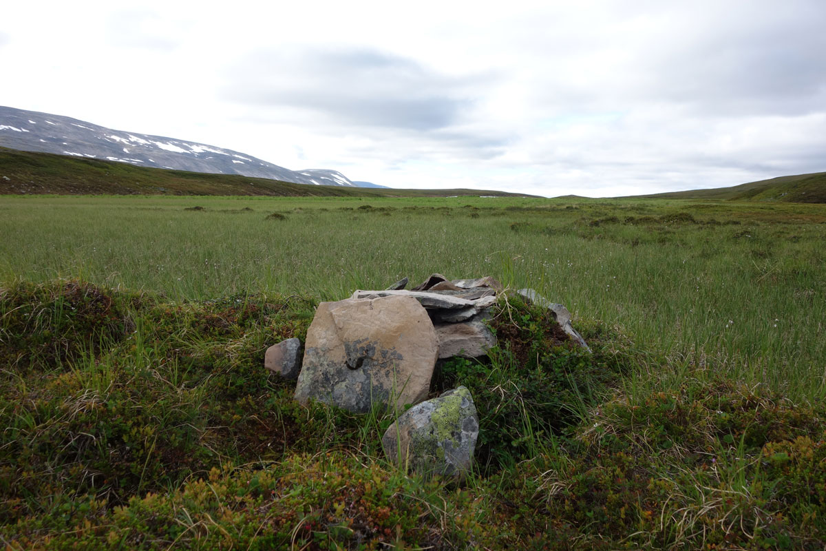 Her er det plassert ei kamerafelle som overvåker smågnagere. Overvåkingen gir forskerne kunnskap som gjør det lettere å forstå tilstanden til fjelløkosystemet. Foto: Eivind Flittie Kleiven