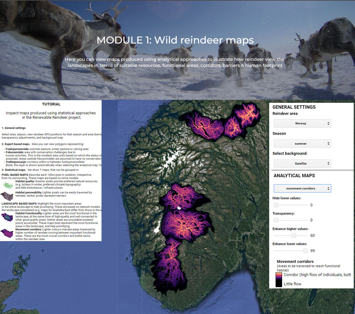 I nettappen kan du se alle kartene. Bilde fra https://sites.google.com/view/reindeermapsnorway (CC BY-SA)