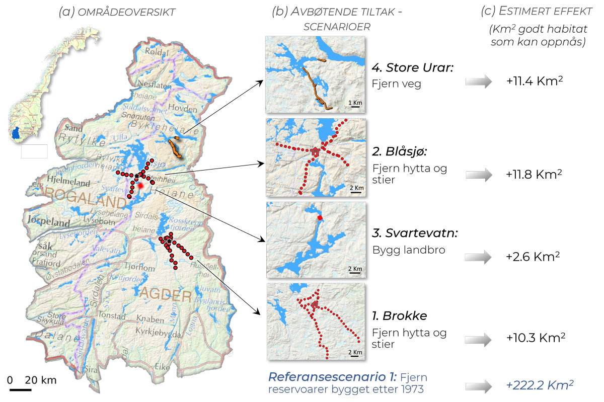 Simulering av effekt av foreslåtte avbøtende tiltak i Setesdal Ryfylke. Bilde fra https://sites.google.com/view/reindeermapsnorway (CC BY-SA)