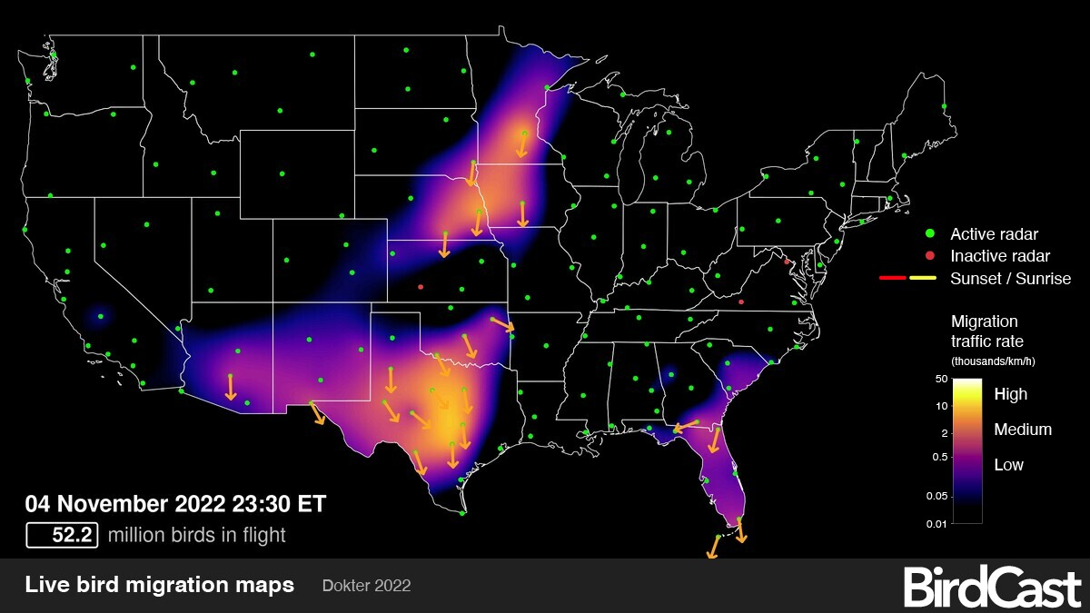 Dokter, A. M. 2022. BirdCast, live migration map; 04/11/2022 23:30 ET. Cornell Lab of Ornithology. birdcast.info/live-migration-maps 