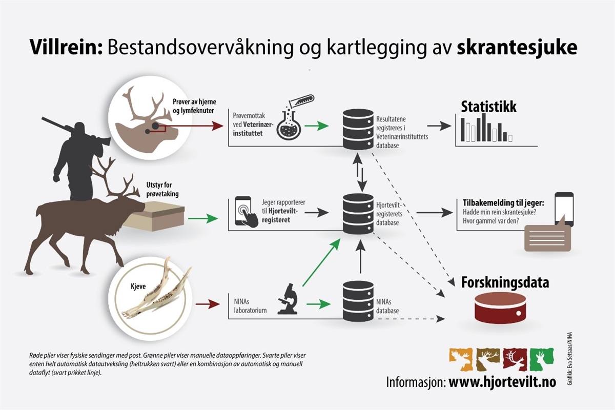 Jegerpakken inneholder prøvetakingsutstyr, og ferdig frankert konvolutt. Alle prøver merkes med en unik strekkode for hvert dyr som sikrer at alle prøver fra dyret kan spores, og blant annet sikrer at jegere får svar. Analysesvar foreligger normalt s