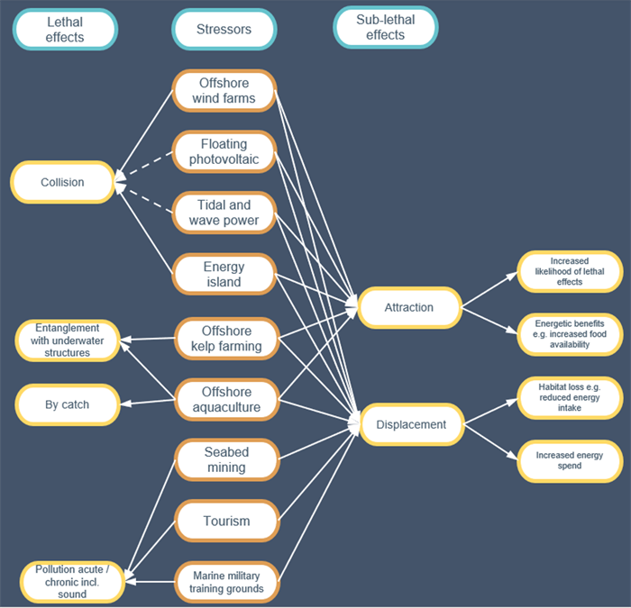 Summary of the most relevant potential lethal and sub-lethal effects of novel stressors.