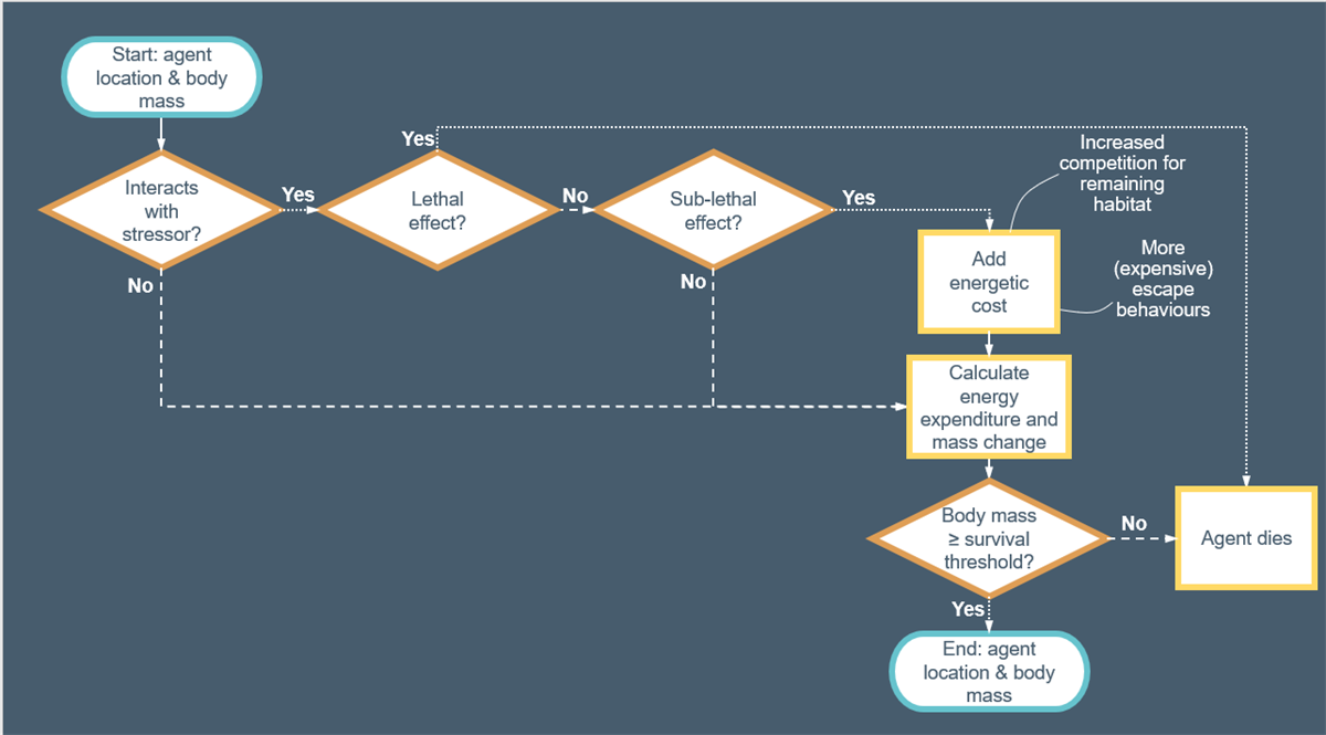 The modelling framework for the agent-based models to be used in MARCIS. Start and end data are in blue ovals, questions are in orange diamonds, and processed are in yellow rectangles.