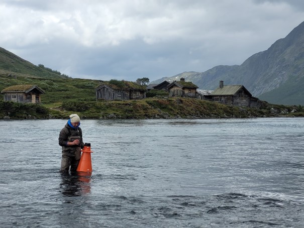 Undersøkelser av tettheter av gjendeflue i Gjendeosen i 2022. Foto: Knut Andreas Eikland (NINA).