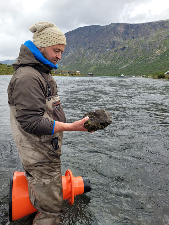 Telling av tettheter av gjendeflue på grunnområdene i Gjendeosen i 2023. Foto: Knut Andreas Eikland (NINA)