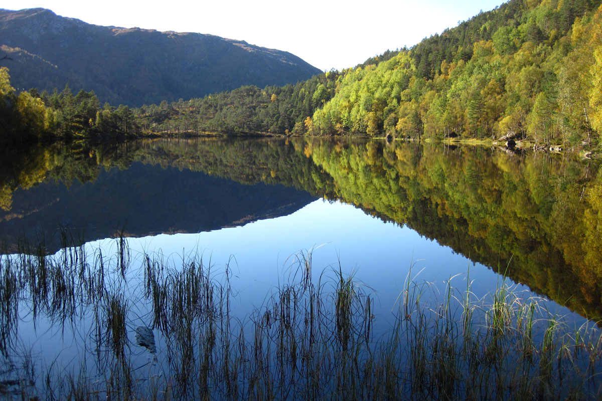 Økosystemet i mange små skogs- og fjellsjøer i Norge har vært negativt påvirket av forsuring. Foto: Gaute Velle, NORCE.