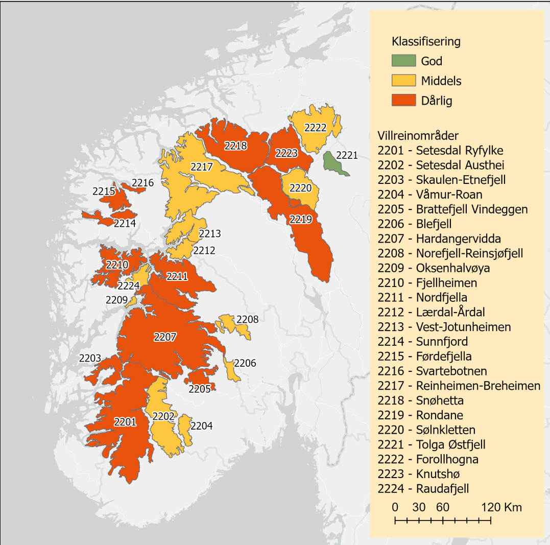 Helhetsvurdering av alle de 24 villreinområdene klassifisert i 2022 (nasjonale villreinområder) og 2023 (ikke-nasjonale villreinområder). Fargekodene rød, gul og grønn angir at villreinområdet er klassifisert til henholdsvis dårlig, middels eller god