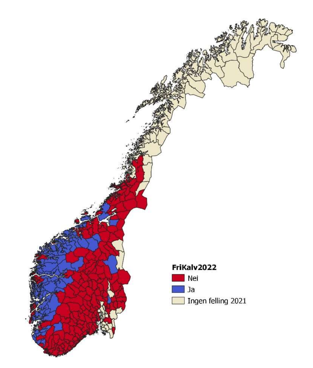 Kommuner med (blå, N = 75) og uten (rød, N = 166) kvotefri felling av hjortekalver (FriKalv) i 2022. Kommuner uten fellinger av hjort i 2021 er markert i beige.