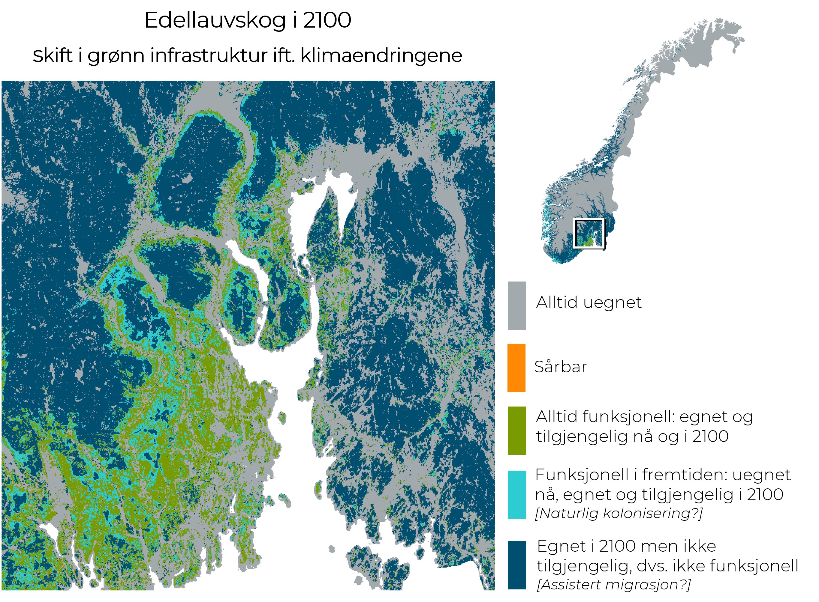 Vi kan forvente at det egnede habitatet for edellauvskog utvider seg nordover og opp i høyden mot 2100. Mengden habitat som vil bli egnet i 2100 vil være langt større enn arealet som de ulike artene faktisk vil kunne kolonisere naturlig.