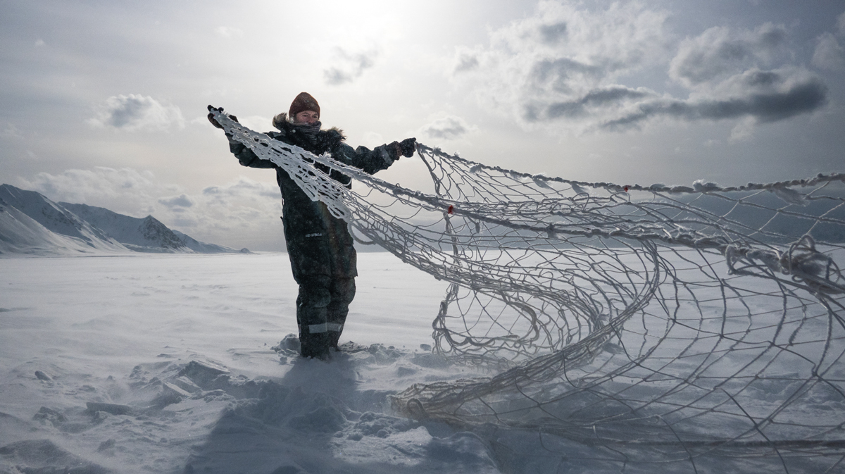 Forskningsfangsten skjer med nett og foregår i april hvert år etter tillatelse fra Mattilsynet og Sysselmesteren. Larissa Beumer fra UNIS klargjør nettet. Foto: Trine Lise Sviggum Helgerud, Norsk Polarinstitutt
