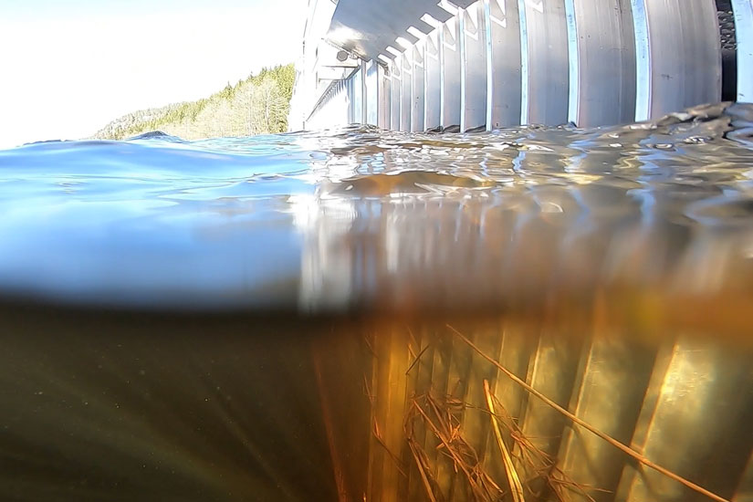 Stavene  i gjerdet er vinklet på en måte som gjør at de bremser opp vannet. Foto: Juliet Landrø / NINA.