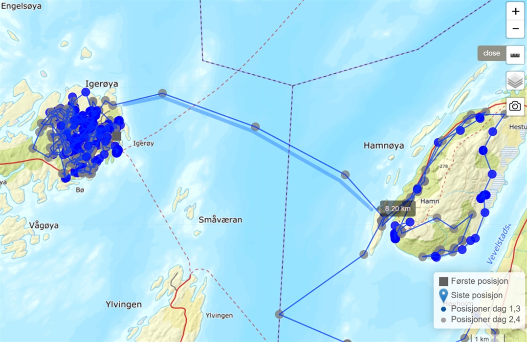 De blå sirklene viser posisjonene til ei elgku som svømte en distanse på drøye 8 km fra Igerøya til Esøya. Illustrasjon: Skjermdump fra www.dyreposisjoner.no