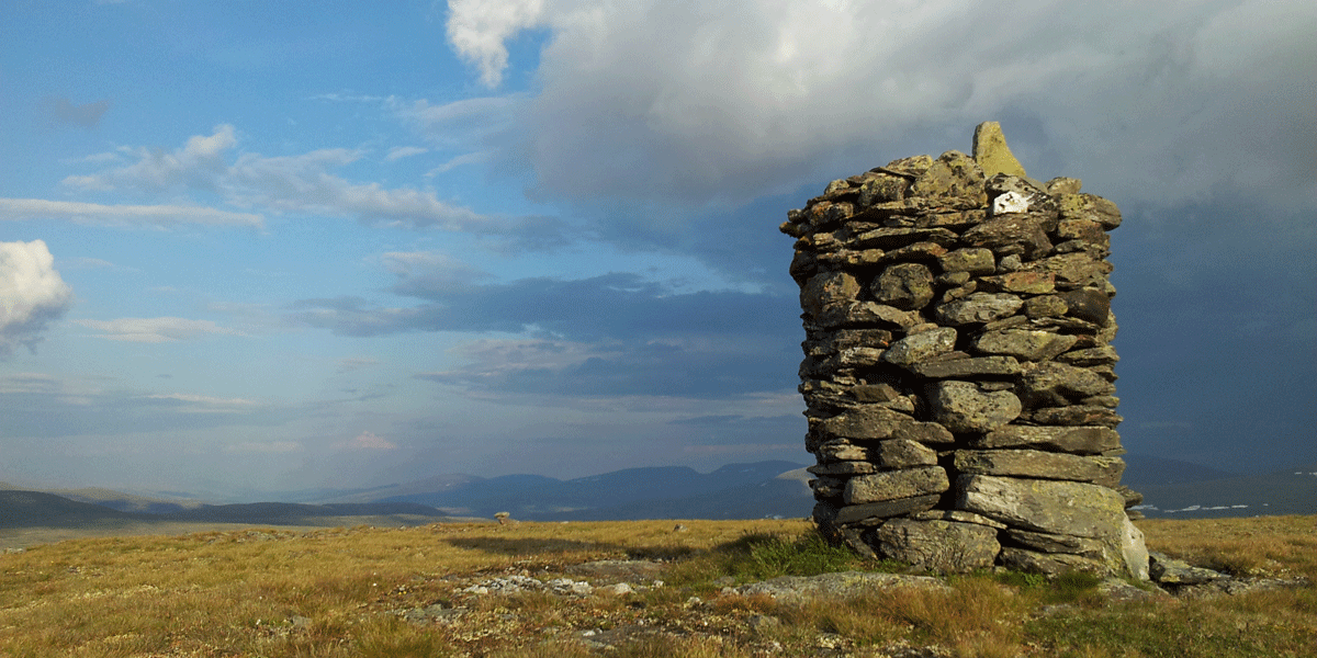 Fjellheier med kalkrik berggrunn i mellomalpin sone er perfekte habitater for fjellhumler (Alpinobombus). Bildet er fra toppen av Finnshøa (1440 moh.), Dovrefjell.Fjellheier med kalkrik berggrunn i mellomalpin sone er perfekte habitater for fjellhumler (Alpinobombus). Foto © Frode Ødegaard/NINA