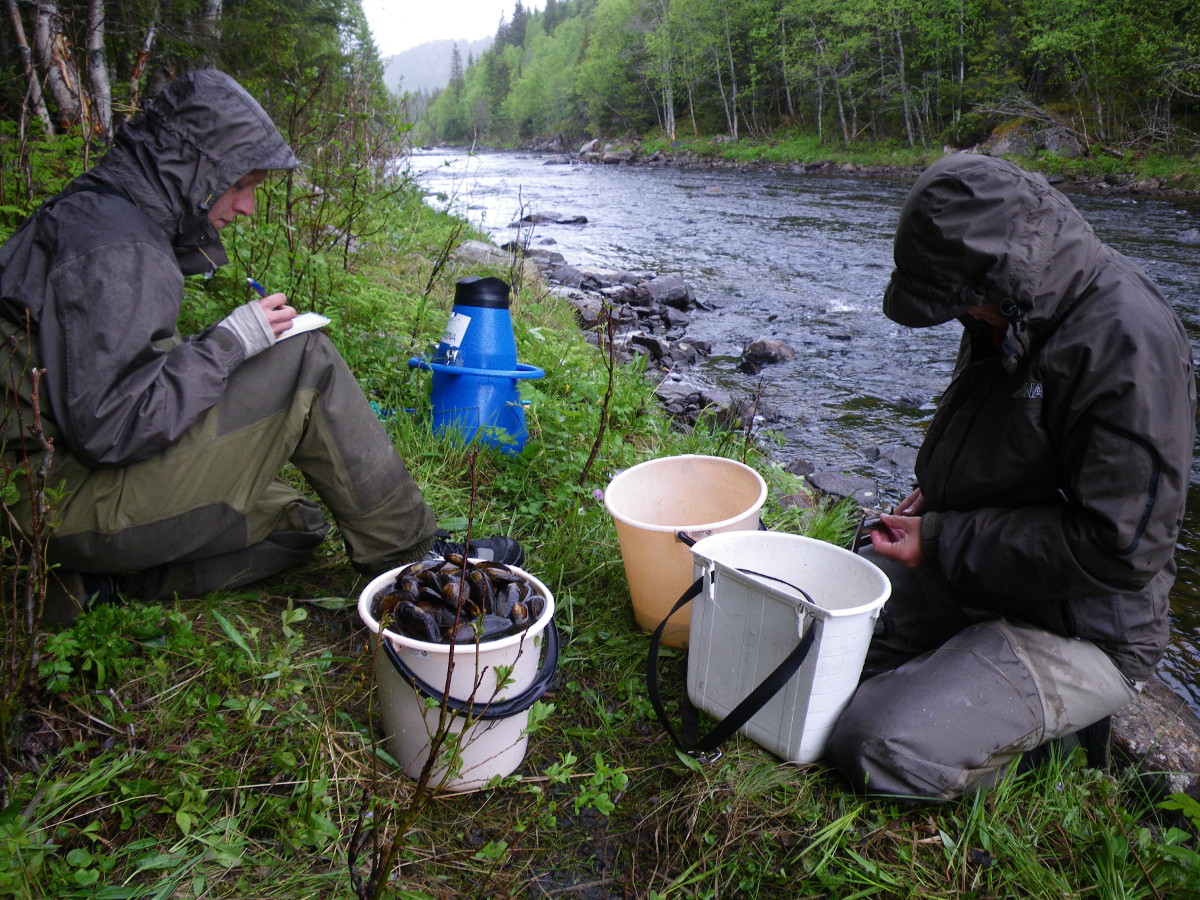 Foto: To forskere som undersøker muslinger i elv.