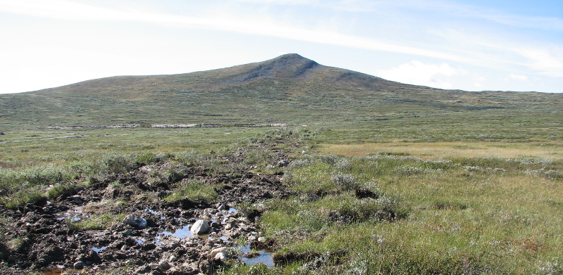 Landskap på Dovrefjell. Her gikk det tidligere en vei. Foto.