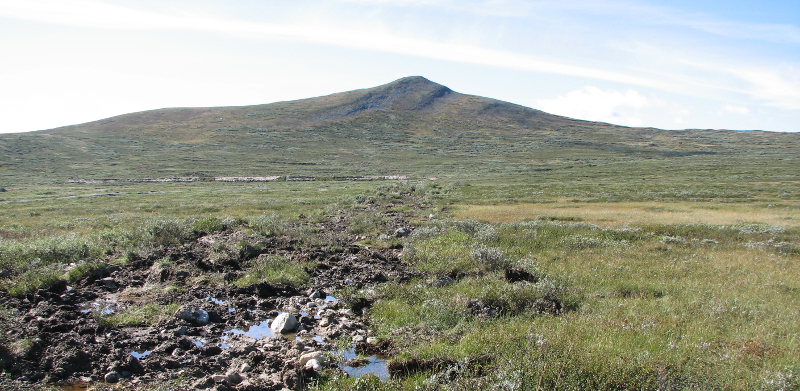 Landskap på Dovrefjell. Her gikk det tidligere en vei. Foto.