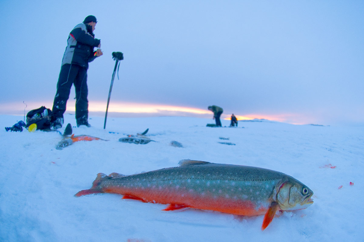 Isfiske i Finnmark. Foto Børre Dervo
