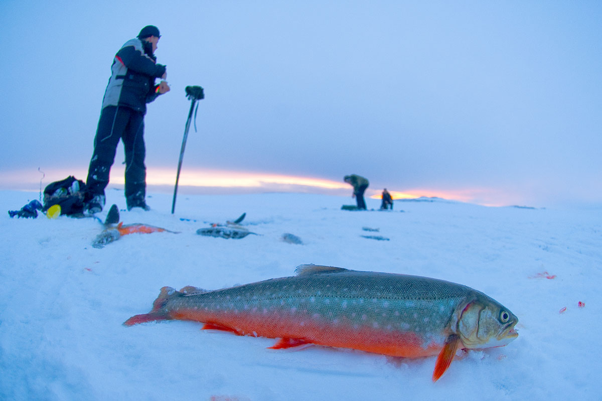 Isfiske i Finnmark. Foto Børre K. Dervo Isfiske i Finnmark. Foto Børre Dervo