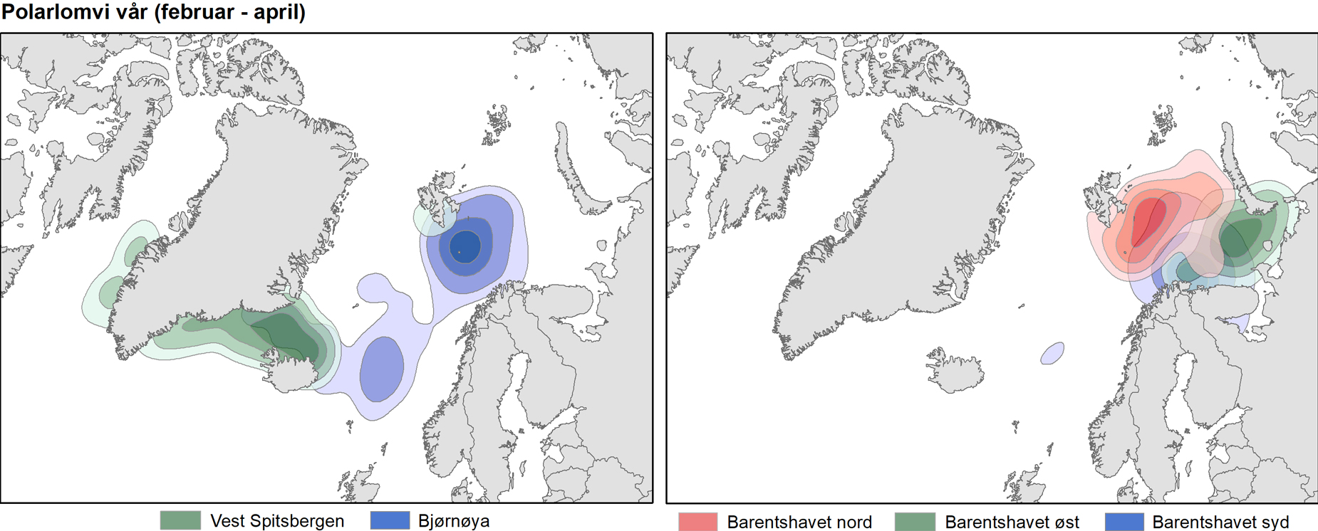 Utbredelse av polarlomvi om våren