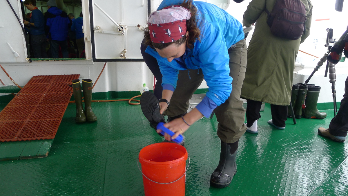 Desinfisering av sko om bord på båten. Foto.