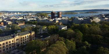 Overraskende mange trær i Oslo