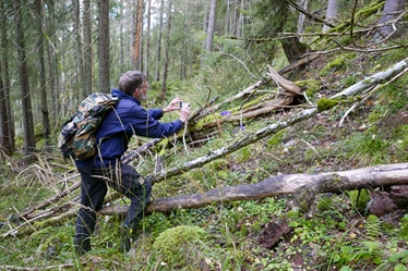 Norge kan få nasjonalpark med store naturverdier rett utenfor hovedstaden