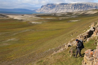 Norsk arktisk tundra trues av klimaendringer