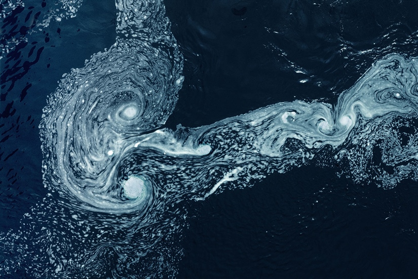 Can Turbulent eddies save fish from turbines?