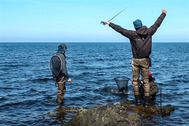 Fritidsfiske i saltvann – nå vet vi hvem, hvorfor og hvordan