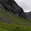 Kvalvika i Lofotodden nasjonalpark er et populært sted for både turister og lokalbefolkningen. Målet med prosjektet Sporløs Lofotturisme er å bidra til å bevare attraktiviteten til denne stranda og andre tilsvarende hotspots i framtiden. Foto: Rose K