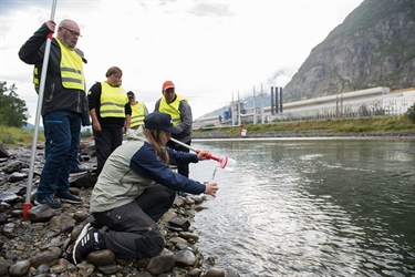 Skånsom bekjempelse av lakseparasitt