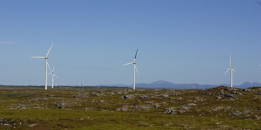 How efficient are mitigation measures for bird-friendly wind power?