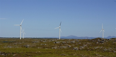 How efficient are mitigation measures for bird-friendly wind power?