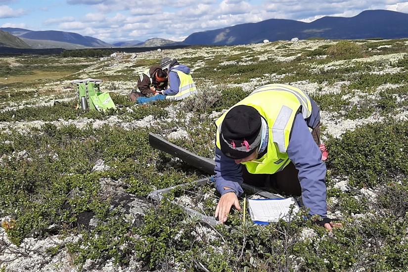 Må forsterke koblingen mellom natur og klima