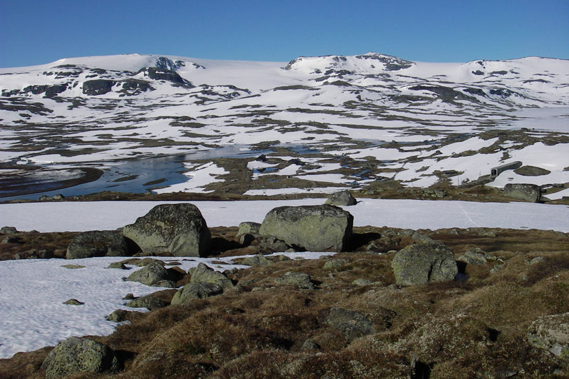 God økologisk tilstand i norske fjell