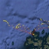 GPS-spor fra en hekkende lundefugl på Runde.