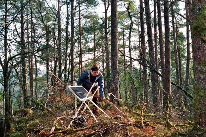 Forskere fanger fuglekvitter for å forstå naturen