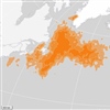 Map from the SEATRACK Web Application showing the winter distribution of black-legged kittiwakes from the Sklinna/ Sør-Gjæslingan colony. The darker the orange shading, the higher the probability of birds being in the area.