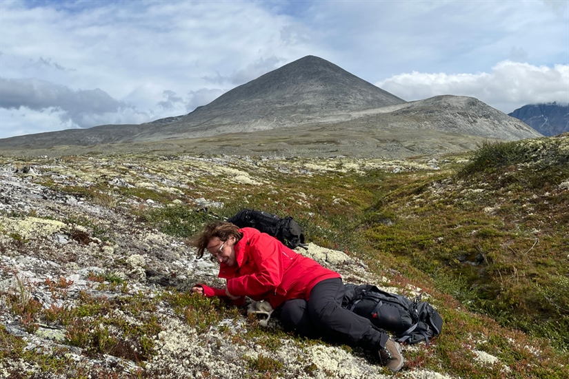 Radioaktivitet finnes fremdeles i norsk natur