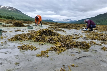 70 forskere skal forske fra fjell til fjord